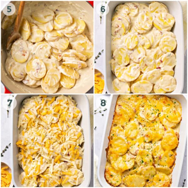 Scalloped Potatoes - Creme De La Crumb