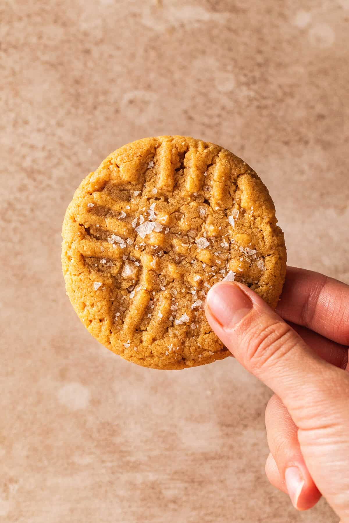 hand holding one peanut butter cookie with sea salt flakes