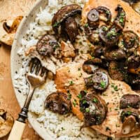 chicken digging into chicken and rice with creamy mushroom sauce