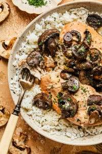 chicken digging into chicken and rice with creamy mushroom sauce