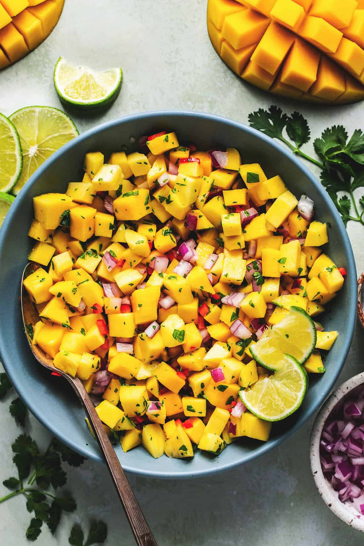 mango salsa in bowl with pinch bowls and ingredients on table