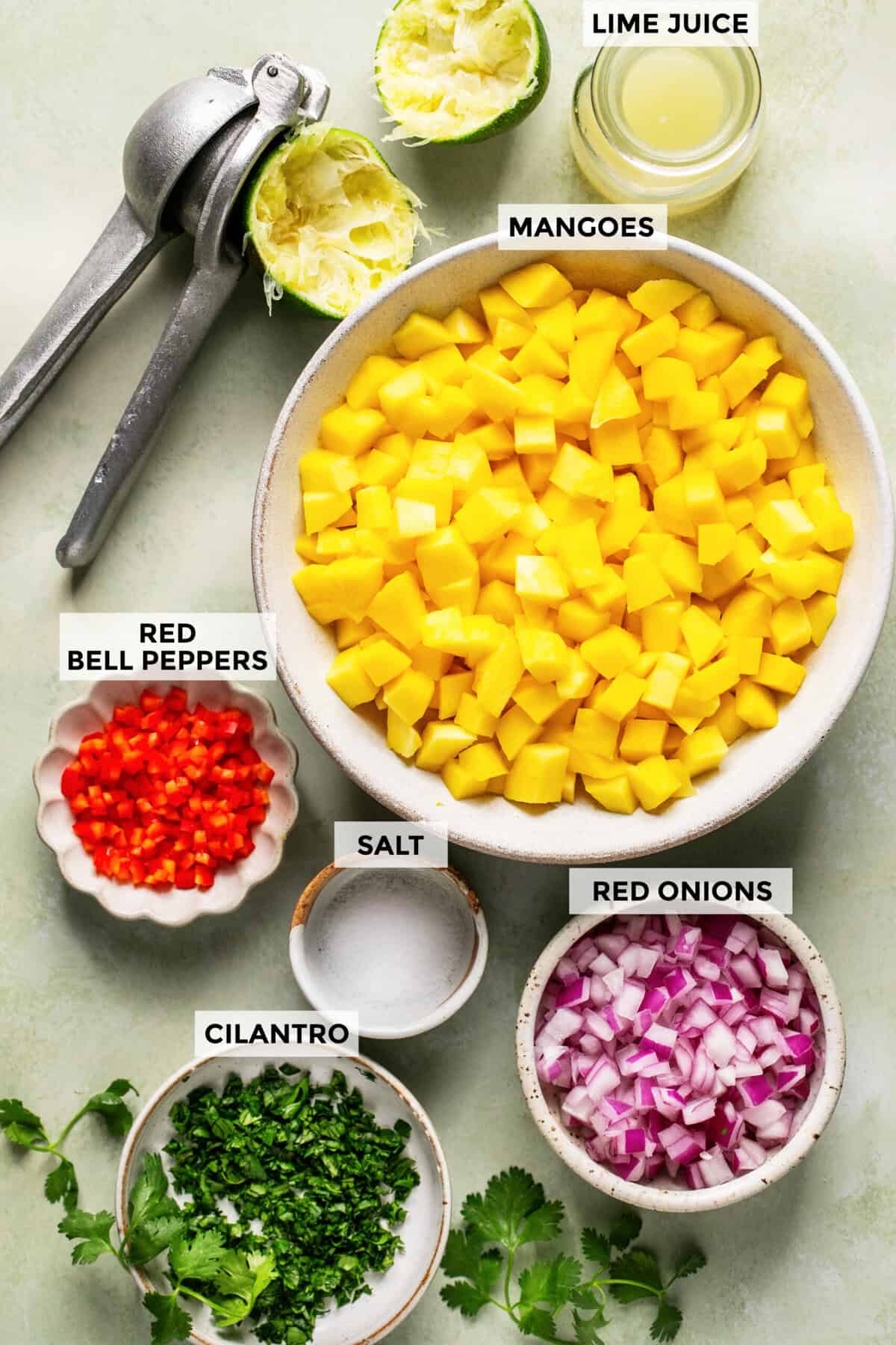 ingredients for homemade mango salsa recipe